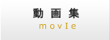 動画集